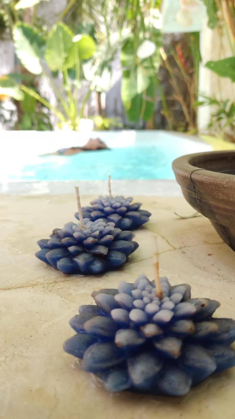 Chale Da Sereia Apart-Hotel Com Cozina Piscina Oasis No Centro De Jericoacoara Esterno foto